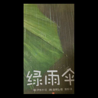 绿雨伞🌂