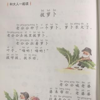 谢老师读课文----语文园地五《拔萝卜》