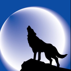 一匹狼,写了这首诗(文/海狼)