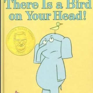 【英文绘本伴读-大象和小猪系列】There is a bird on your head