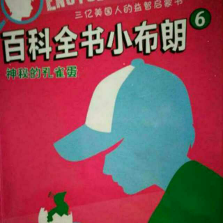 百科全书小布朗6之岩画谜案