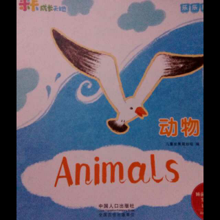 Animals