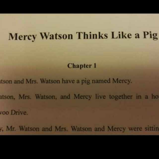 mercy watson 5 chapter4~5