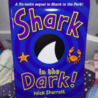 Shark In the Dark