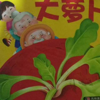 大萝卜