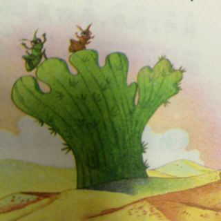 王一梅精品童话《仙人掌和蚱蜢》