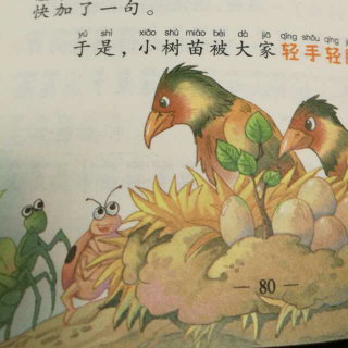 王一梅精品童话《鸟🐦窝里的树》