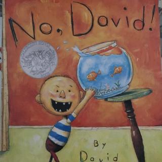 《No ，David！》