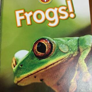 NG-frogs