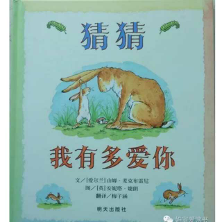 猜猜我有多爱你