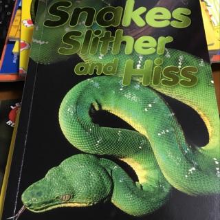 Snakes slither and hiss