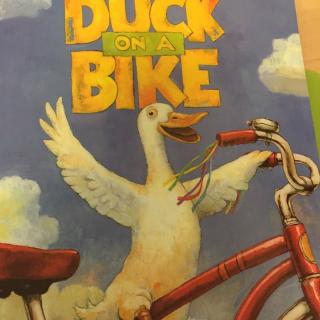 Duck on a bike