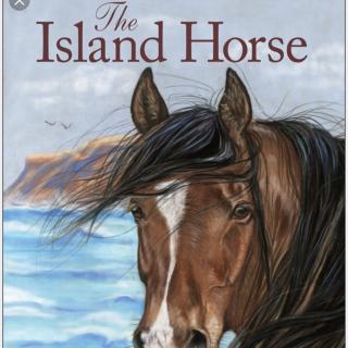 The Island Horse - 4