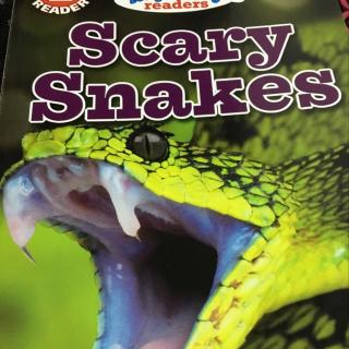 scary snakes