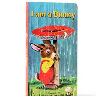 一起读英文：i am a bunny