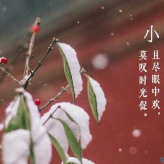 “结束秋凉，步入冬眠”－小雪快乐@想念北国的雪