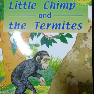 Little Chimp and The Termites