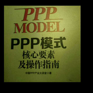 《ppp模式》（项目风险的识别方法）