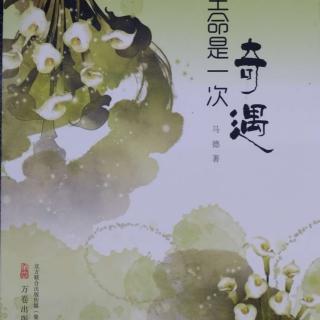 第一辑 别摔疼一滴露水 7.与一只壁虎相逢