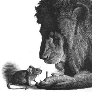 【友谊】老鼠与狮子