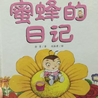 蜜蜂的日记