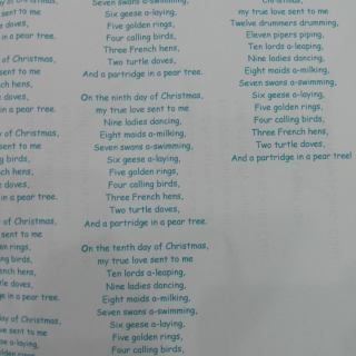 Song-12 days of christmas