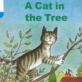 A cat in the tree