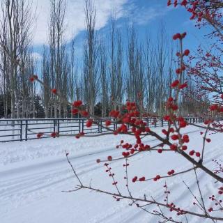 牵手走进浪漫的雪季