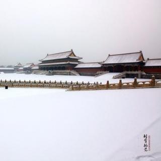 云山树洞第二期：在初雪绽晴和没有你的日子里