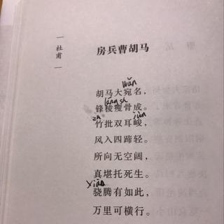 房兵曹胡马拼音版古诗图片