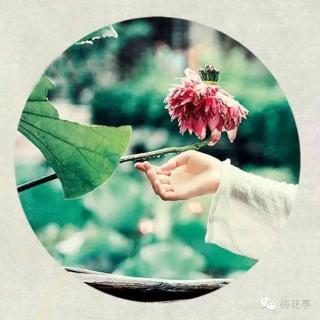 【子萱夜读】素手浣花 作者：风雨轩