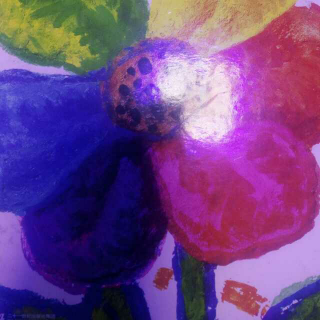 彩虹色的花