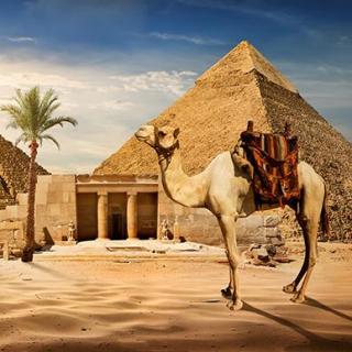 广播专辑 世界文明史记2 不朽的金字塔