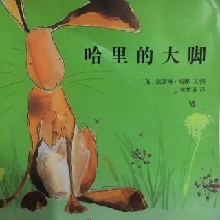 123.哈里的大脚