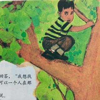 大英儿童百科全书｜1-16　ALONE 独自一人：寻找躲藏的地方