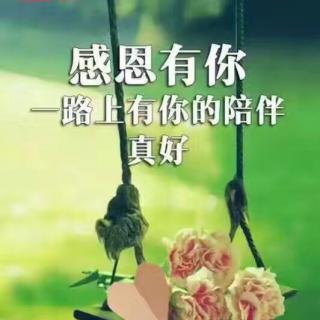 学会感恩