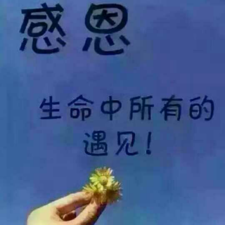 你是我今生最美丽的遇见   作者/芦苇