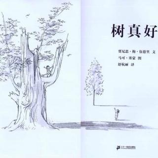 绘本故事《树真好》