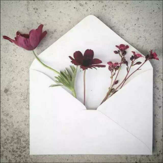 【感恩节】亲爱的，我有封信想寄给你
