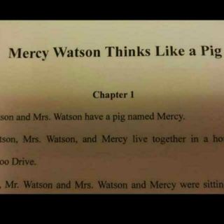 mercy watson 5 chapter 12~13