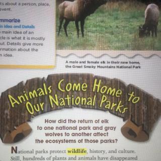 Animals come home to our national parks