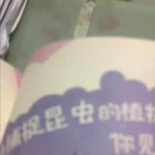 能够捕捉昆虫的植物，你见过吗？