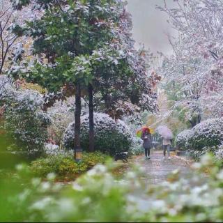 十二点歌|我的天空在下雪，你那里呢