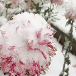 你那里下雪了吗？～任小刚