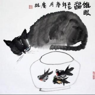 网红直播，16年天猫双十一成功全靠它！