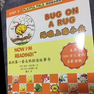 日有所诵🔫英文绘本bug on a rug