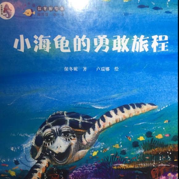 小海龟的勇敢旅程