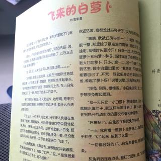 豆豆妈妈讲故事 飞来的白萝卜