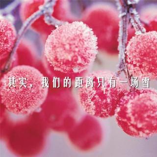 「飘」 其实，我们的距离只有一场雪 | 早安歌Vol.93