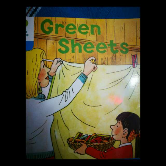 《green sheets》12/100